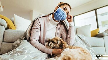 Hundegrippe bei Hunden