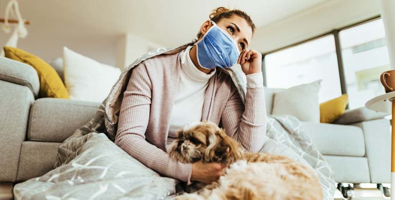 Hundegrippe bei Hunden