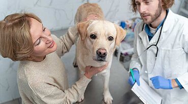 Neurologische Störungen bei Hunden