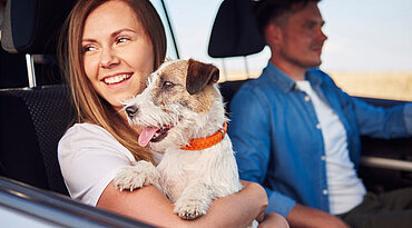 So transportiert man Hunde im Auto