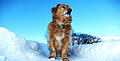 Wintertipps