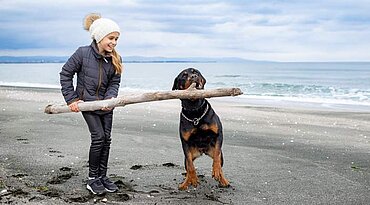 Mit dem Hund auf Reisen