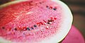 Ist Wassermelone gut für Hunde?