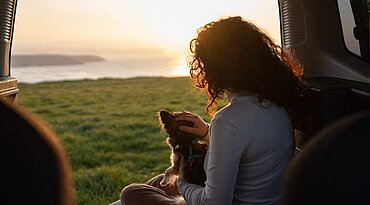 Wie man Hunde von ihrer Reiseangst befreit