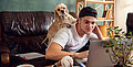 Als Student einen Hund halten