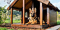 DIY Hundehütte