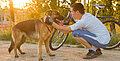 Radfahren mit Hund