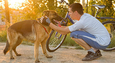 Radfahren mit Hund