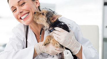 7 wichtige Qualitäten, die jeder Tierarzt haben sollte