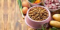 Josera Hundefutter – Hochwertige Ernährung für Ihren Hund