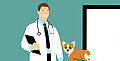 In welchem ??Alter sollten Hunde kastriert oder sterilisiert werden?