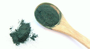 Spirulina für Hunde