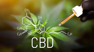 CBD Öl und seine möglichen Vorteile für Hunde