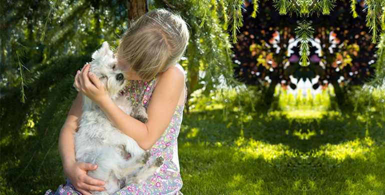 Dinge zu beachten, wenn Sie einen Hund für Kinder wählen