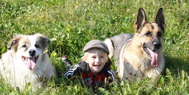 Videos Körpersprache Hund / Kinder Videos Körpersprache Hund / Kinder