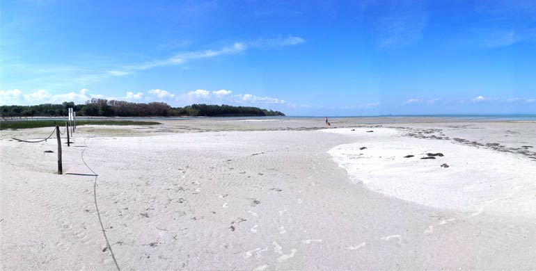 Insel Poel Natur Insel Poel Natur