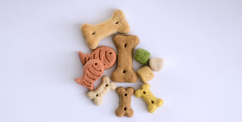 Leckerlies selbst herstellen Leckerlies selbst herstellen