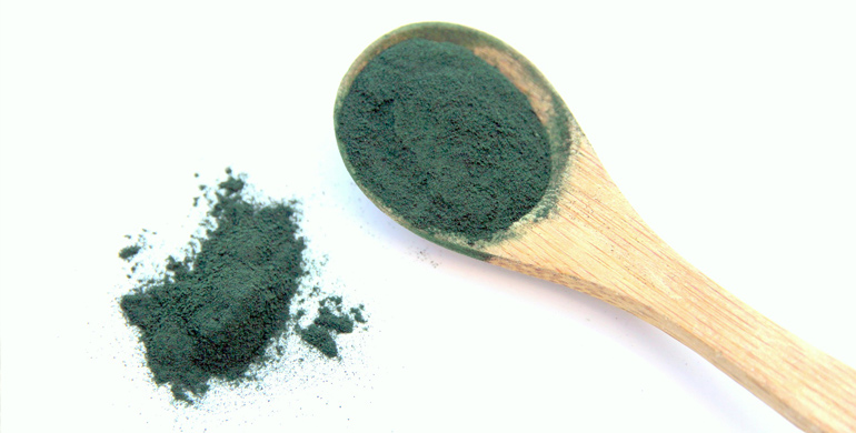 Spirulina für Hunde