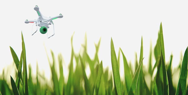 Dogdrones Dogdrones
