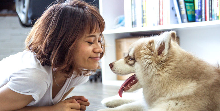 9 Wissenschaftliche Gründe, warum Hunde Ihre Lebensqualität verbessern können 9 Wissenschaftliche Gründe, warum Hunde Ihre Lebensqualität verbessern können