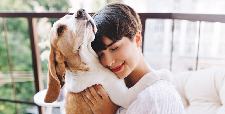 3 Tipps gegen Stress beim Hund 3 Tipps gegen Stress beim Hund