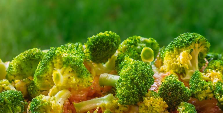 Dürfen Hunde Brokkoli essen?