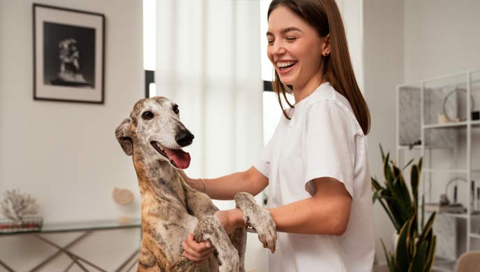 Harnwege / Nierensteine ??(Calciumphosphat) bei Hunden