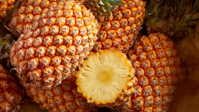 Können Hunde Ananas essen? Können Hunde Ananas essen?