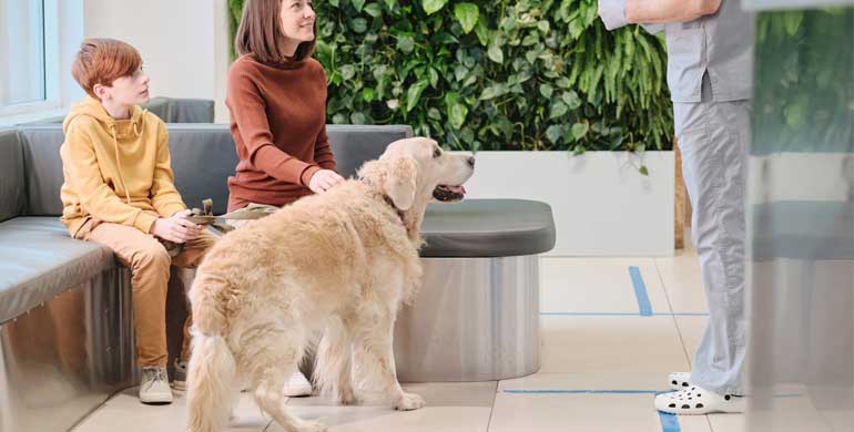 Kopfneigung bei Hunde Kopfneigung bei Hunde