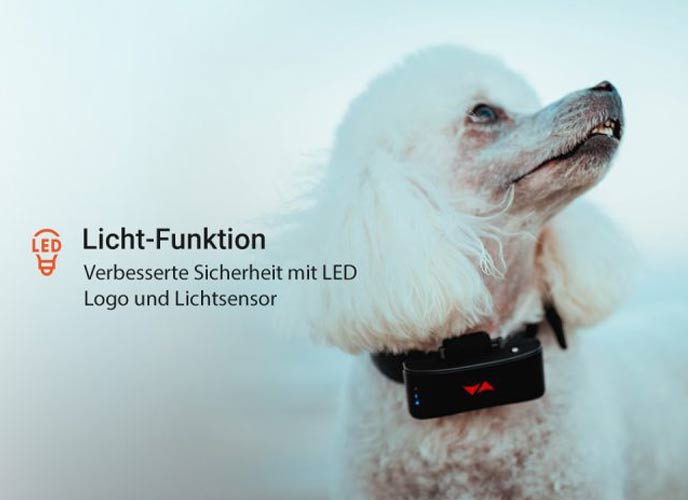 Lichtfunktion