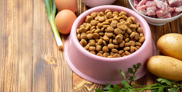 Das richtige Hundefutter finden Das richtige Hundefutter finden