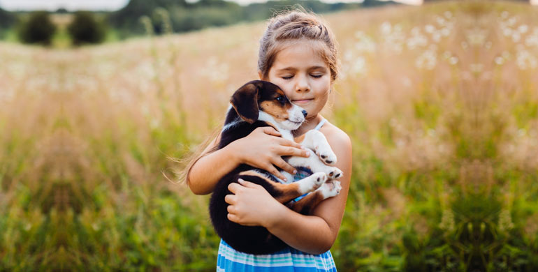 Rückenmarkserkrankungen bei Hunden Rückenmarkserkrankungen bei Hunden