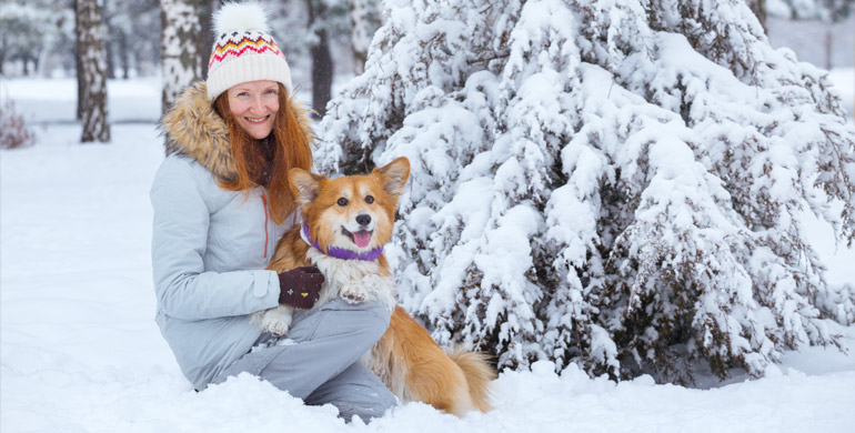 Schneevergnügen mit dem Hund