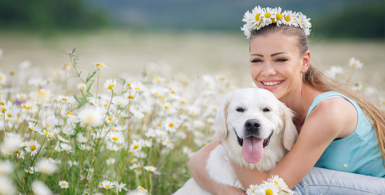 Unfruchtbarkeit bei weiblichen Hunden