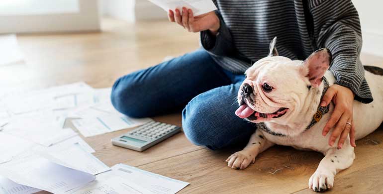 Hundesteuer